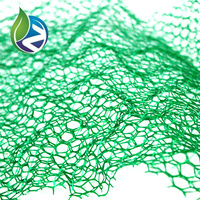 Tapis de renforcement de pente en plastique HDPE 3D Geomat pour le contrôle de l'érosion