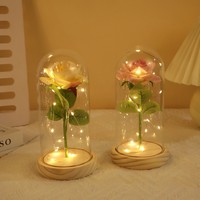 Enchanted Forever kubah kaca mawar kecantikan dan the Beast desain bunga mawar dengan lampu LED hadiah romantis untuk pacar