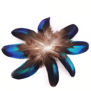Vendita a buon mercato ali di pavone naturale piccola piuma blu per la festa di carnevale Millinery corpetto decorazione fai da te - Product Image 2