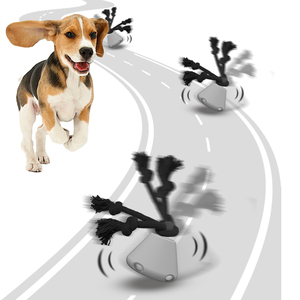 2025 Automatische Smart Moving Running Piramide Indoor Self-Play Speelgoedmuziek Nieuw Piepspeelgoed Voor Honden Levensechte Stijl Gemaakt Touw Tpr - Product Image 1