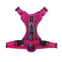 Harnais pour chien en polyester respirant et anti-étouffement avec doubles anneaux en D, patchwork contrasté, confortable et durable