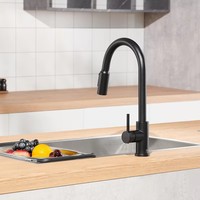 Robinet de cuisine monocommande noir mat avec douchette extractible et bec haut, à poser sur plan