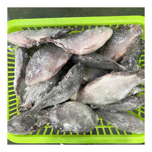 Dondurulmuş deniz ürünleri balık Tilapia tüm yuvarlak çin'den IQF 10 kg Tilapia WR balık istikrarlı kaynağı ile - Product Image 5