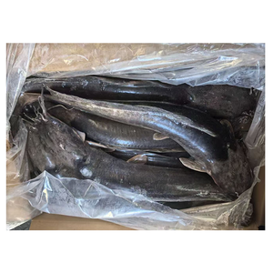 Ikan Lele Beku untuk Pasar