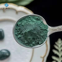 Sulfate de Chrome (III) BCS 24%/26% Qualité Industrielle Sulfate de Chrome Basique/Sulfate de Chrome pour le Cuir Produit Chimique de Maroquinerie SIMEL-8