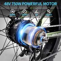 Mon magasin Vélo VTT électrique à pneus larges 48V 15AH 750W 1000W pour adultes, affichage LDC multi-mode, EU/US, 60 km lb