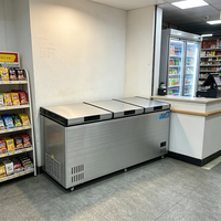 Réfrigérateur horizontal 1010L, congélateur commercial, affichage numérique, refroidissement direct, R290, dégivrage manuel, supermarché