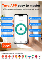 Serrure de porte intelligente, sécurité, numérique, électrique, poignée électronique, numérique, Tuya, Ttlock, avec clés Wifi, Nfc, serrure de porte Wifi intelligente