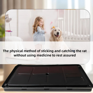 Trampas de Pegamento <span class=keywords><strong>para</strong></span> Insectos de Plástico Desechables con Adhesivo Superfuerte <span class=keywords><strong>para</strong></span> Sala de Estar, Cocina, Dormitorio y Balcón, Uso Doméstico - Product Image 3