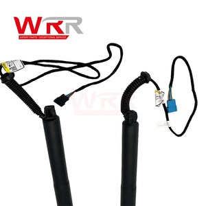 51247339431 51247339432 Elevador de Puerta Trasera para BMW F26 X4, Amortiguador Eléctrico Premium y Duradero para Maletero, Soporte de Actuador - Product Image 3