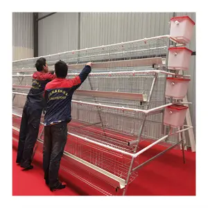 Nouvelle conception 4-tier 2m de long 5 nids 160 capacité couche poulet cage pour ferme d'œufs au Kenya/Zambie/Ouganda