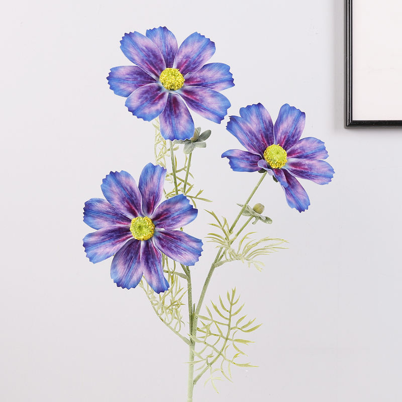 สีฟ้าสีม่วง