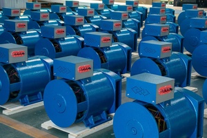LANDTOP STC ST Générateur Dynamo Alternateur 3-50kw Générateur AC 60Hz Fréquence Brosse <span class=keywords><strong>Excitation</strong></span> 400v/230v/12v Nominale - Product Image 6
