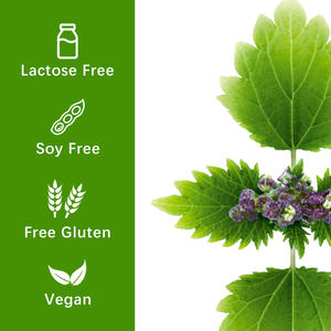 Capsules d'extrait de <span class=keywords><strong>racine</strong></span> d'<span class=keywords><strong>ortie</strong></span> |   Stimulant énergétique, vitalité et soutien urinaire |   Complément alimentaire à base de plantes en gros - Product Image 4