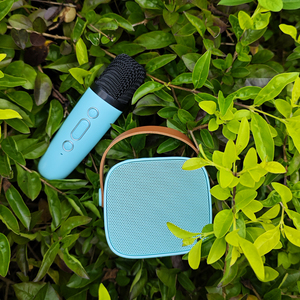 Prunus mini niños <span class=keywords><strong>karaoke</strong></span> micrófono mezclador máquinas altavoz con 2 micrófonos inalámbricos con micrófono y Bluetooth al aire libre - Product Image 2