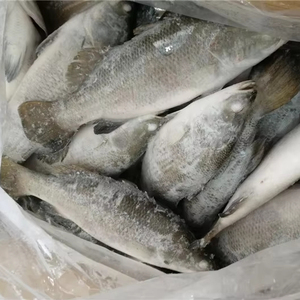 Barramundi intero congelato Premium-appena pescato e congelato da Kingsunfoods - Product Image 1