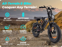 Vélo électrique tout-terrain à pneus larges de 20 pouces, livraison rapide depuis l'entrepôt UE/USA, cadre rétro, batterie amovible, homologué CE/UKCA