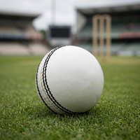 Ballons de cricket blancs durs en cuir de qualité supérieure, pour entraînement et matchs, taille personnalisée, service OEM, fabriqués au Pakistan