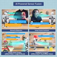 Robot Humanoide Hiwonder Tonybot con Modelos de IA Multimodales de Gran Escala, IA de Visión e Interacción por Voz, Kit de Programación Educativo