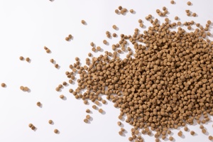 Cibo per Gatti OEM ODM Antiallergenico 0% Cereali 100% Carne Fresca di Pollo Promuove la Luminosità del Pelo e la Salute Cardiaca per Tutte le Fasi della Vita - Product Image 4