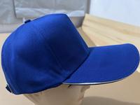 Casquettes à cinq pétales personnalisées pour hommes et femmes, adaptées à l'impression de logo, à la broderie, casquettes ajustables, casquettes de baseball en polyester