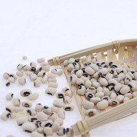 Haricots Black Eyed Pea, petits haricots blancs Cowpea, prix des haricots Black Eye