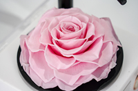 Top populaire Forever Rose phonographe Bluetooth haut-parleur merveilleux Graduation fleur cadeau articles