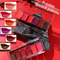 Palette de maquillage pour les lèvres mate en gros, longue tenue, hautement pigmentée, personnalisable, imperméable, pour le visage et les yeux
