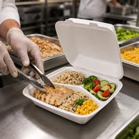 Conteneur alimentaire jetable en mousse de polystyrène PS en gros, boîte à clapet pour restaurant, boîte à emporter