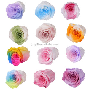 Cabezas de Rosa <span class=keywords><strong>Estabilizadas</strong></span> de 4-5 cm, Cabezas de Rosa Eternas Preservadas para Decoración - Product Image 4