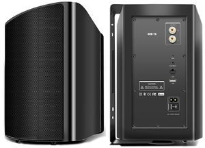 Altavoz Inalámbrico de Pared con Bluetooth 5.4, WiFi, AUX, USB, LAN, Múltiples Entradas, Compatible con Airplay, DLNA, <span class=keywords><strong>Spotify</strong></span>, Apple Music, para Exteriores y Fiestas - Product Image 2