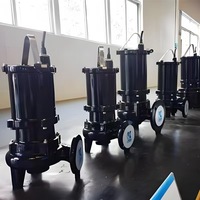 Pompe submersible broyeuse WQ à haute pression à commande automatique, anti-colmatage, 220V/380V, garantie 1 an, pour drainage de sous-sol et usage municipal