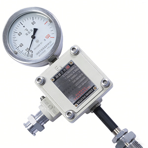 Termometer Tekanan <span class=keywords><strong>Gas</strong></span> WTZd-285 Tampilan Analog Tahan Panas Keluaran Sinyal Nanyang Huaye Zhang Heng - Product Image 4