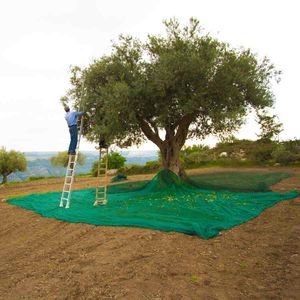 Nhiệm vụ nặng nề Windproof xách tay HDPE & PE nhựa ô liu thu hoạch lưới gấp thiết kế Made trung qua-rete antispina nông nghiệp <span class=keywords><strong>Net</strong></span> - Product Image 4