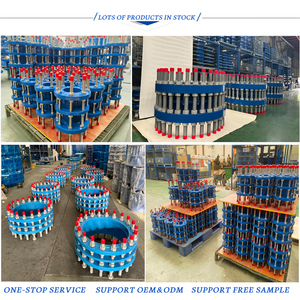 Pn10 Pn16 <span class=keywords><strong>2</strong></span> Inch 120 Inch Thép Carbon Khớp Nối Van Ống Đôi Mặt Bích Phổ Tháo dỡ Doanh Với SS304 SS316 Mặt Bích - Product Image 5