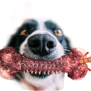 2023 애완 동물 제품 새로운 라텍스 고무 뼈 모양 고무 몰 치아 개 애완 동물 장난감 중국 공급 업체