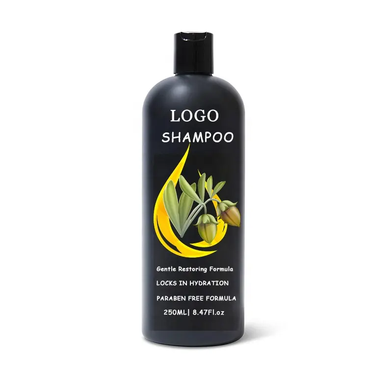 Fabricant de l'usine fournisseur OEM personnaliser logo marque privée huile d'argan shampooing et après-shampooing ensemble pour cheveux africains