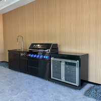 Nouvelle conception de cuisine # Armoire de cuisine extérieure étanche en acier inoxydable 304 et acrylique noir avec barbecue à gaz, robinet et évier intégrés