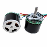 Moteur BLDC haute efficacité 7,4 V BL2820W avec contrôle PWM progressif, haute vitesse, indice de protection IP54, pour mini pistolet de massage portatif