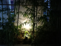 12v 24v Ip65 lampe d'extérieur étanche éclairage de paysage de pelouse 3w 5w 7w lampe de jardin Led Cob