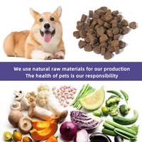 Suppléments de santé quotidiens et comprimés à croquer pour chats et chiens 12 types de probiotiques pour protéger la santé des animaux de compagnie