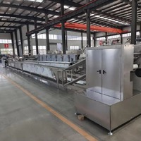 Ligne de production automatique de nouilles instantanées en acier inoxydable de qualité alimentaire, 8000-130000 pièces/8 heures, machine à fabriquer des nouilles instantanées