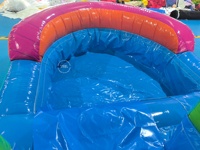 Toboggan aquatique gonflable géant commercial en PVC pour adultes, avec piscine, idéal pour les fêtes en extérieur sur le thème du palmier - Meilleures ventes