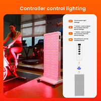 Nouvelle arrivée : Panneau de luminothérapie LED RLPRO600, thérapie infrarouge, thérapie par lumière rouge, panneau de luminothérapie rouge pour le corps entier, pour usage esthétique