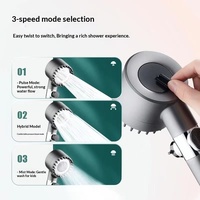 Vente directe usine – Ensemble de douche de luxe Dai-Pen avec pommeau de douche à pression, filtre et douchette à main électroplaquée