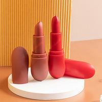 Matte Bullet Rouge À Lèvres Nude Cosmétique Maquillage Rouge À Lèvres Étanche À Base De Plantes Rouge À Lèvres MSDS 4g Bouteille De Vin Rouge À Lèvres 3 Ans