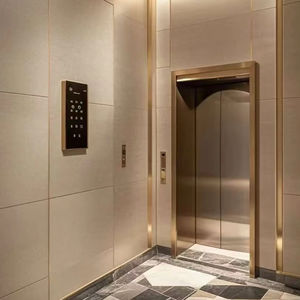Ascenseur résidentiel à vente chaude, ascenseur pour passagers, moderne, sûr, facile à utiliser, pour la maison - Product Image 1