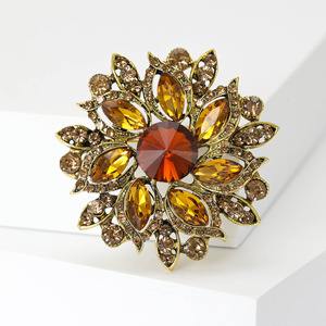 Broche de Liga Metálica Estilo Europeu-Americano, Ousado, Moderno e Retrô, com Cristais de Vidro Multicoloridos Deslumbrantes, Acessório Feminino para Agasalhos - Product Image 6