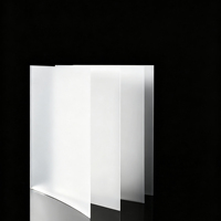 Panneau diffuseur mat translucide laiteux en PC anti-reflet 1220x2440mm, feuille de diffusion de lumière ignifuge personnalisable 0,5-3,0mm