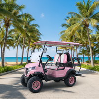 Voiturette de golf électrique au lithium personnalisable 4 places 48 V de qualité supérieure avec personnalisation gratuite de la couleur et du logo pour usage en station balnéaire ou à domicile